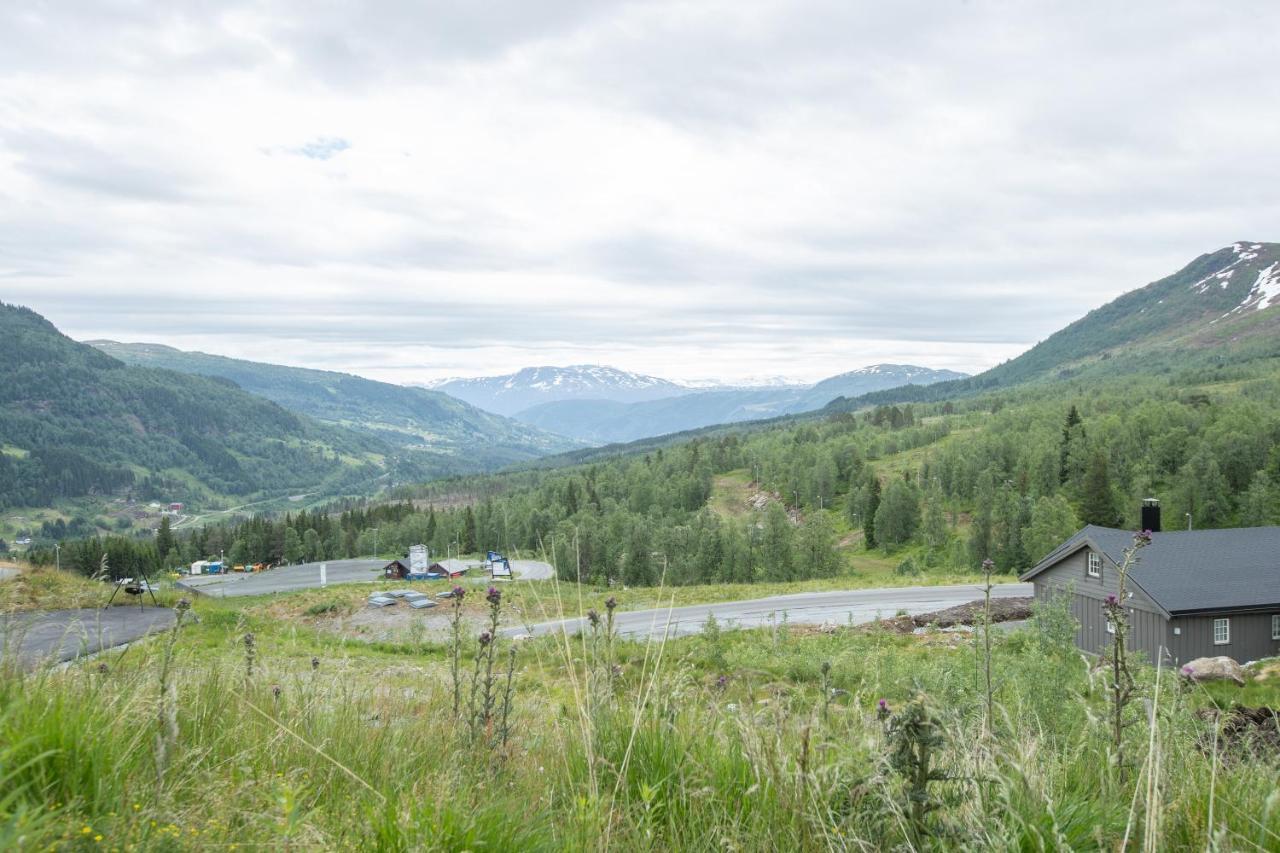 Hébergement de vacances Fjellsporthytta Nr. 4